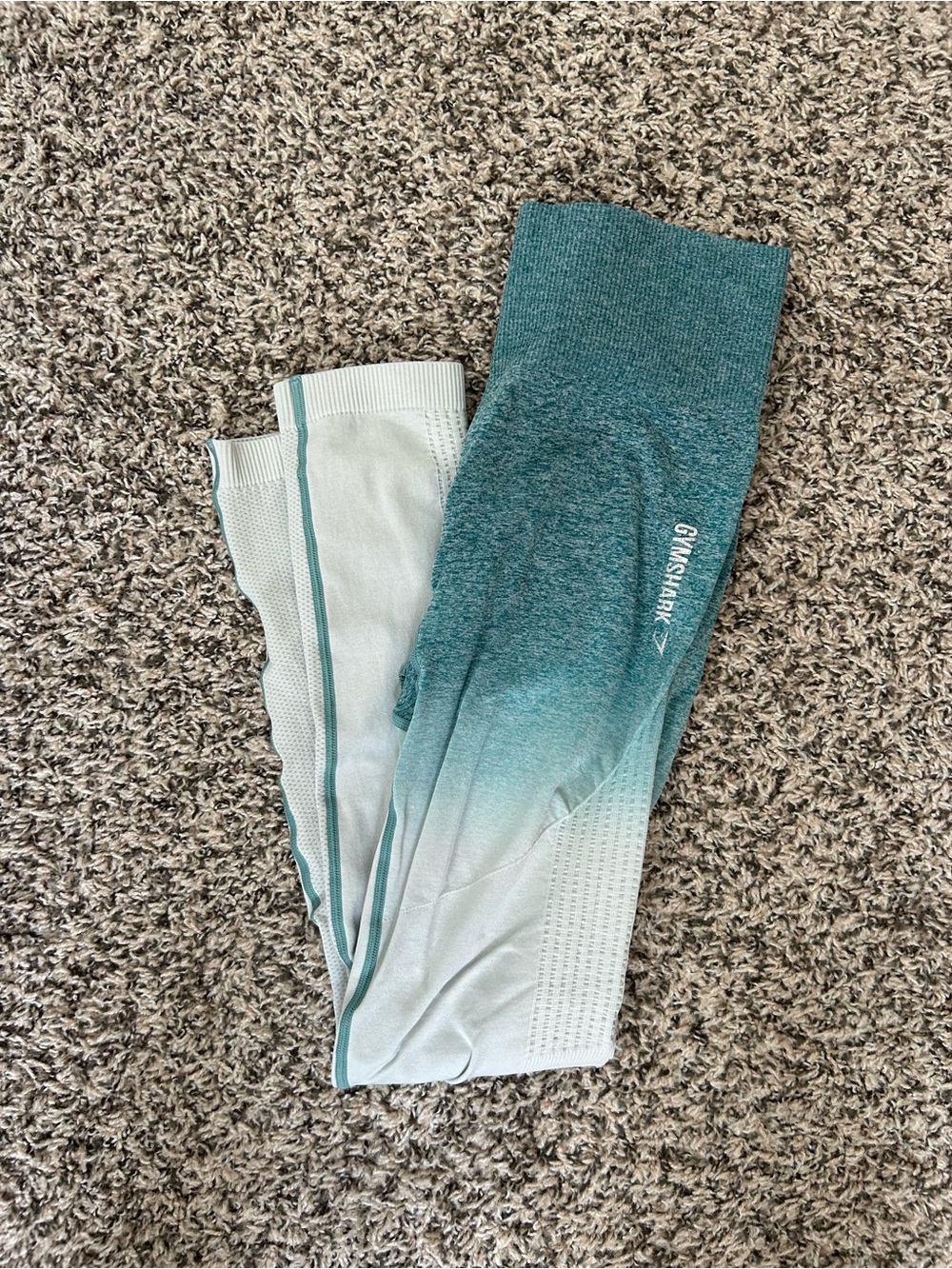 Gymshark Teal Ombre Seamless Leggings